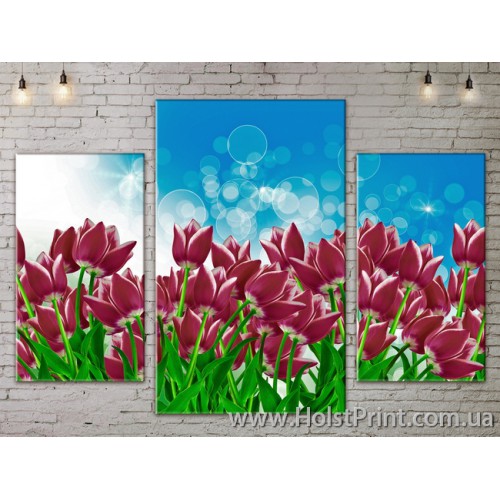 Модульные Картины, Цветы, Art. FLOW777105, , 687.00 грн., FLOW777105, , Цветы (Фотокартины)